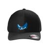 Rad Flexback Cap Thumbnail
